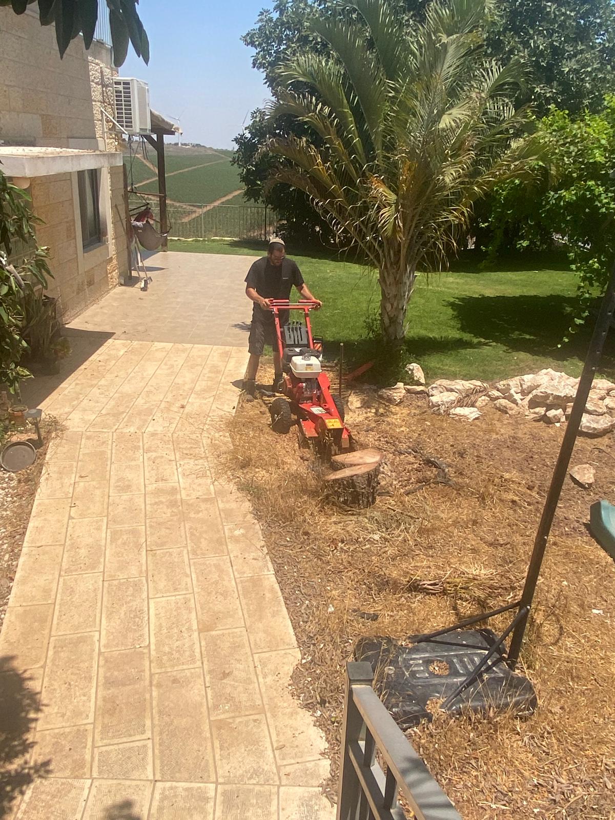 כרסום גדם עץ עם מכונת כרסום מקצועית ליד בית מגורים